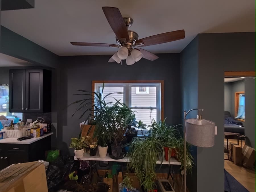 After photo 6